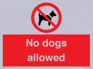 No dogs allowed